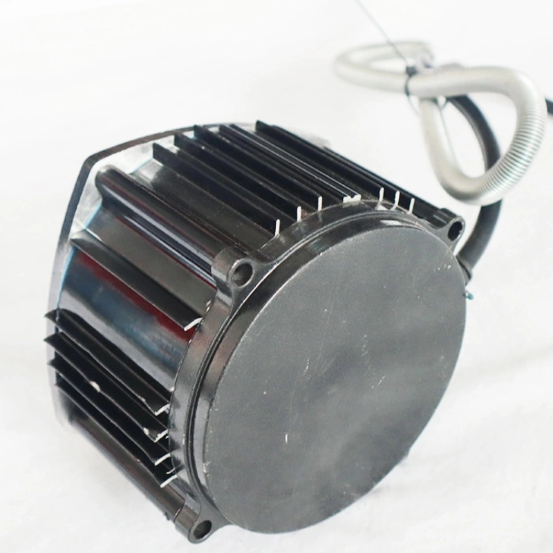 Động cơ không chổi than 48V 60V 1000W Xe nâng điện dùng cho xe vận tải để nâng hạ và dỡ hàng
