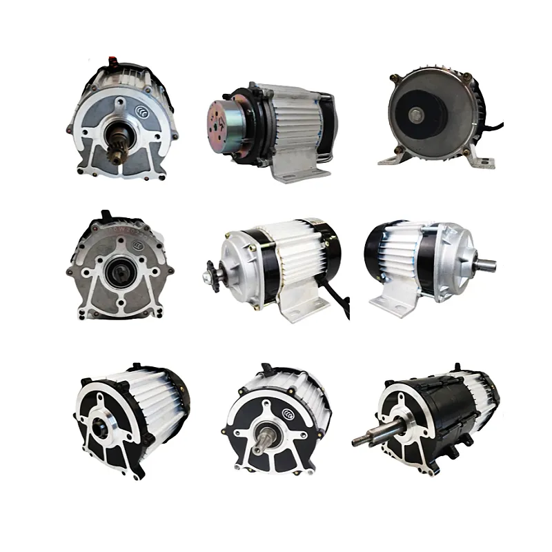 Xe ba bánh 48v 60v 72V 800W động cơ trung tâm không chổi than DC hai cấp giảm tốc động cơ