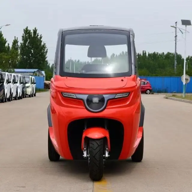 관광지 전동 관광 버스 60V 1500W 전동 뚜뚜 카 삼륜 삼륜차
