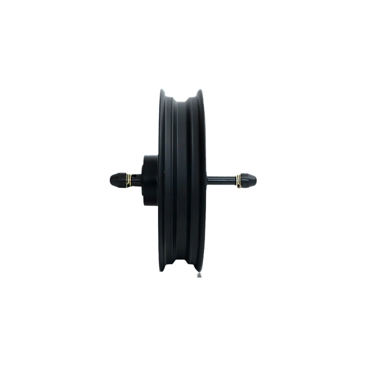 10인치 전기 자동차 허브 48V 1000W 전기 자전거 허브 모터