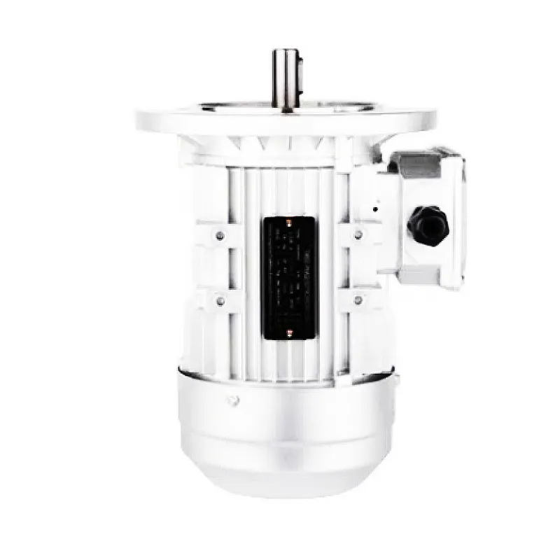 Motor 3 pha nhôm nguyên chất hoàn toàn 0,75 kW 2800 Vòng/phút Motor bất đồng bộ thẳng đứng của vỏ nhôm YE3