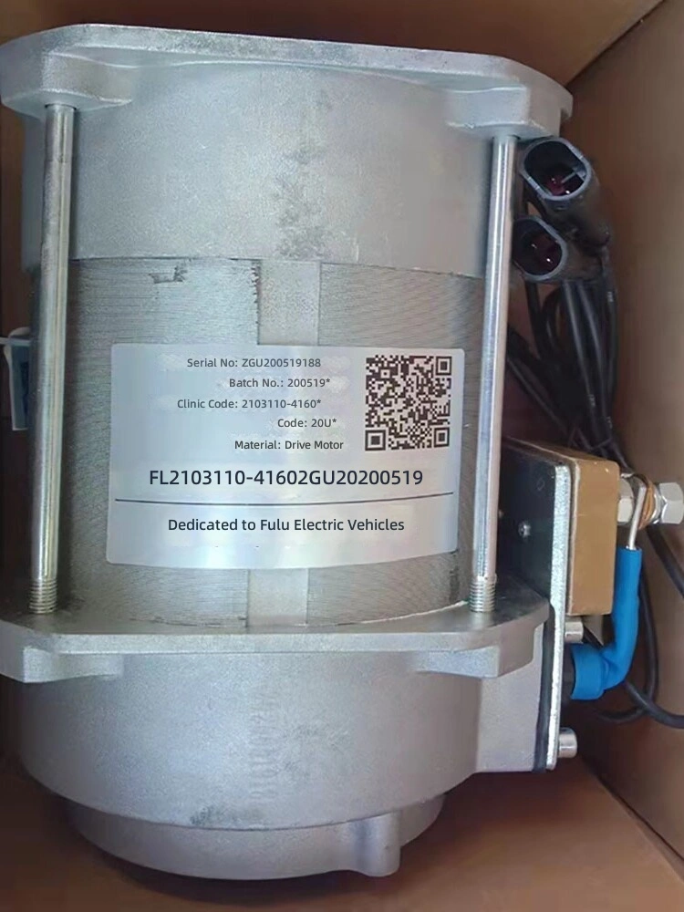 DPT 이신 전동기 48V 3kW/5kW 교류 전동기 부품, 4륜 전기 자동차에 적합, 중국 제조