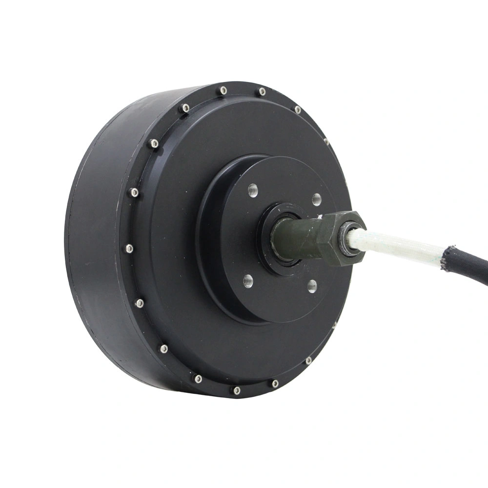 Trung Quốc Động cơ điện Trung Quốc cho bánh xe trung tâm EV Động cơ trung tâm 12KW 273 72v BLDC thiết kế lõm