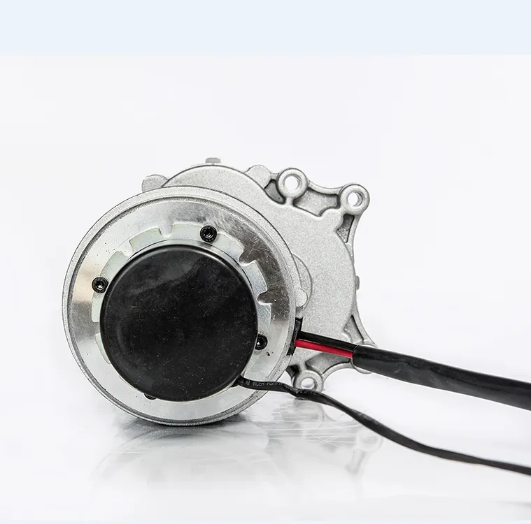 Động cơ Động cơ DC có chổi than 250W 24v phanh điện từ động cơ xe lăn phanh đĩa