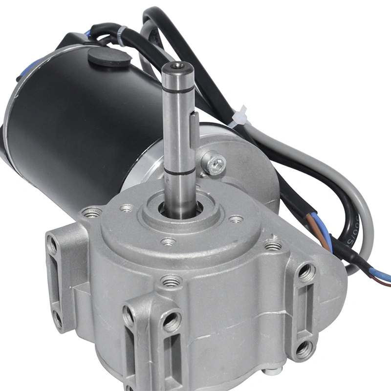 DC24V 60W 100W Single Signal Worm Gear Reducer Motor with Hall Encoder for Hotel Automatic Doors