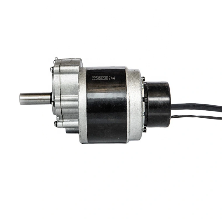 모터 유 브러시드 DC 모터 250W 24v 전자기 브레이크 휠체어 모터 디스크 브레이크