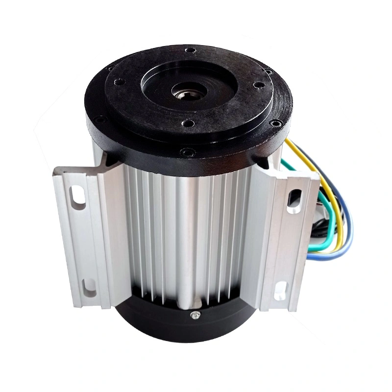 고출력 DC 모터 48V 60V 72V 4000W 유압 오일 펌프 세척기용 브러시리스 모터