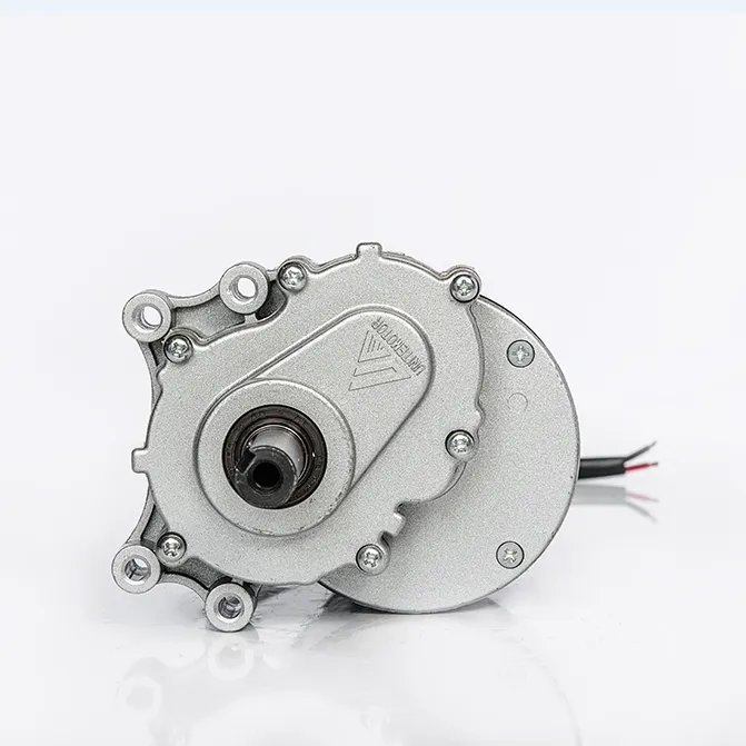 모터 유 브러시드 DC 모터 250W 24v 전자기 브레이크 휠체어 모터 디스크 브레이크