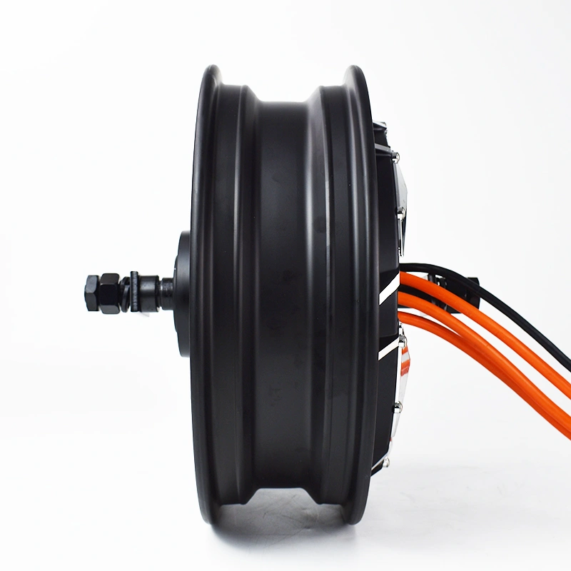 QS Motor 12 Inch Electric Bicycle 2000W/3000W Permanent Magnet Brushless IP65 Waterproof Aluminum Frame Rear Hub Motor