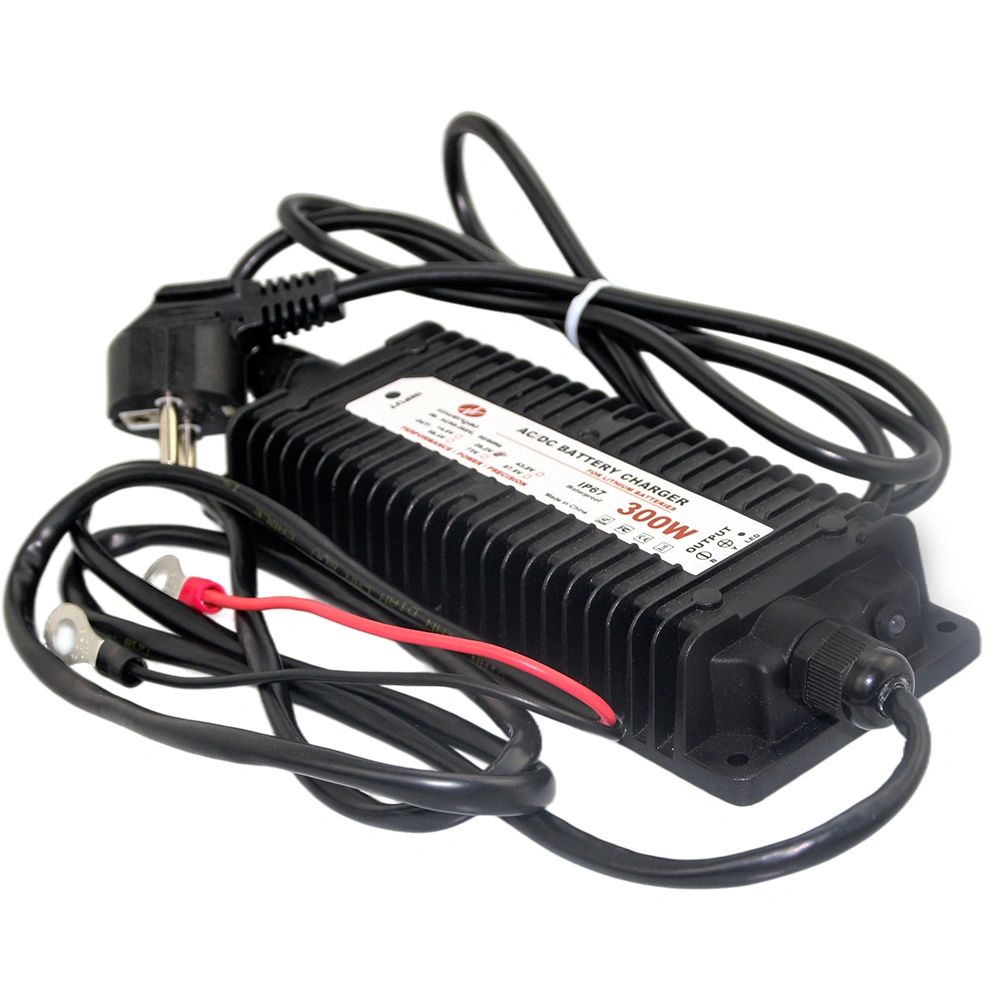 SM电动车48V/60V/72V 300/600/1000W磷酸铁锂电池充电器，带快速充电功能和可定制插头