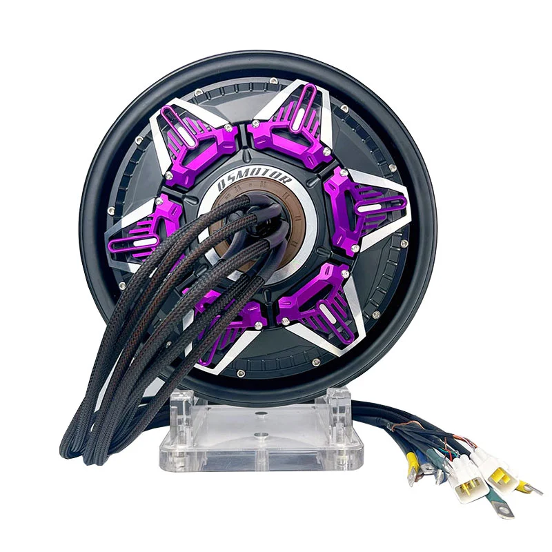 QS Motor 12 Inch Star Magnet Disc Permanent Magnet 6000W IP65 Waterproof Brushless 12V Customizable Electric Bike