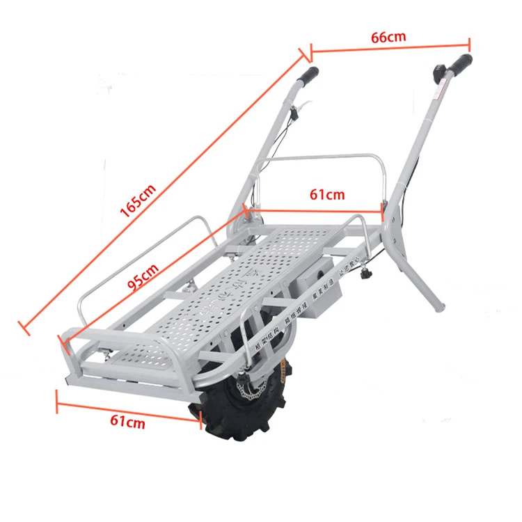 Xe đẩy điện pin lithium nhỏ gọn dùng cho nông nghiệp có phanh đĩa, thông số 48V/20A/650W