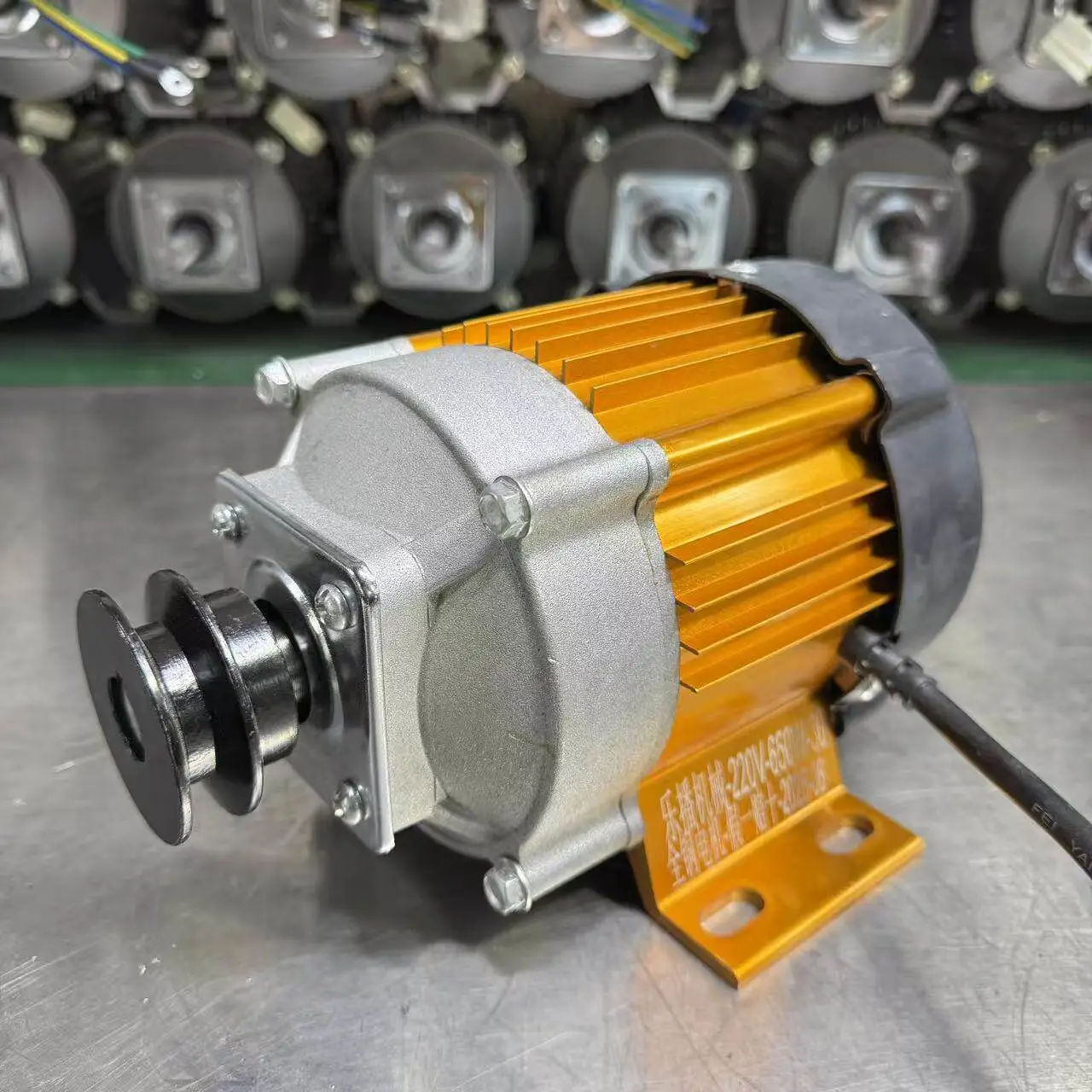 12V/24V/48V/220V低速大扭矩直流减速电机；纯铜无刷绕线机电机11牛米扭矩56W IP44