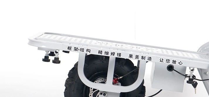 Xe đẩy điện pin lithium nhỏ gọn dùng cho nông nghiệp có phanh đĩa, thông số 48V/20A/650W