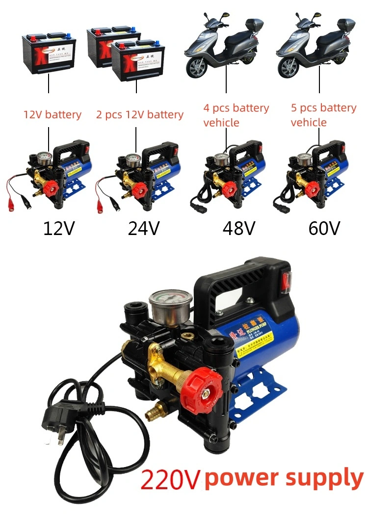 máy phun sơn bơm pít tông hai xi lanh 12V 24V bình xịt điện nông nghiệp máy phun thuốc trừ sâu