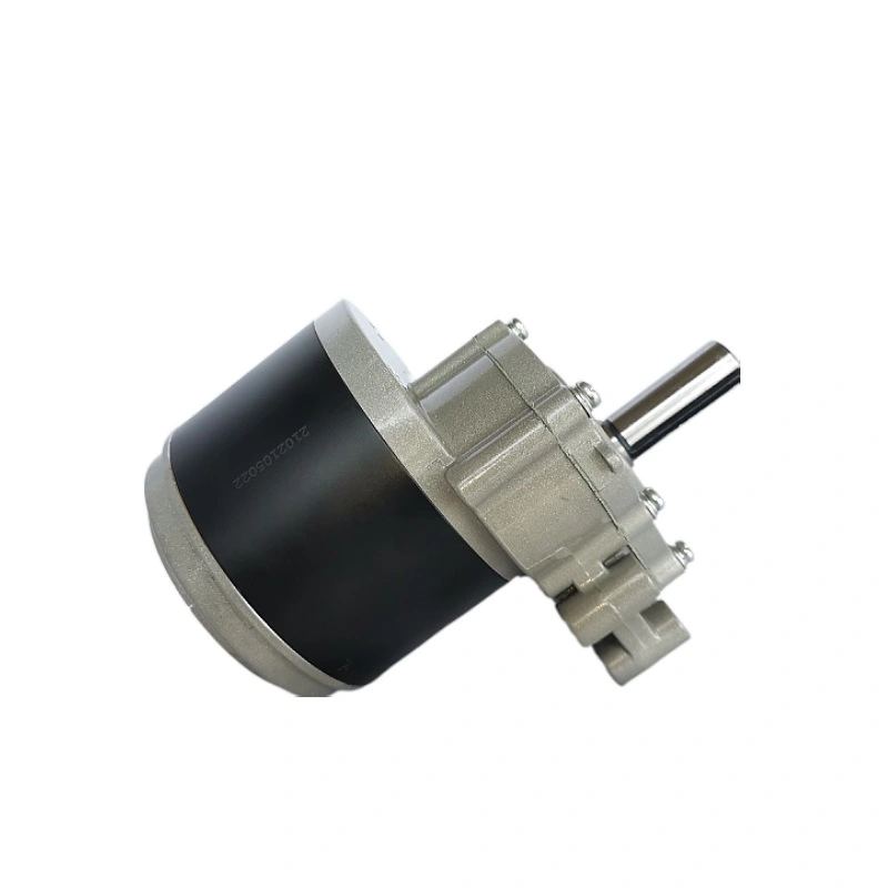 Động cơ có chổi than DC 250W 24V 120RPM động cơ phanh từ tính xe lăn có chổi than DC