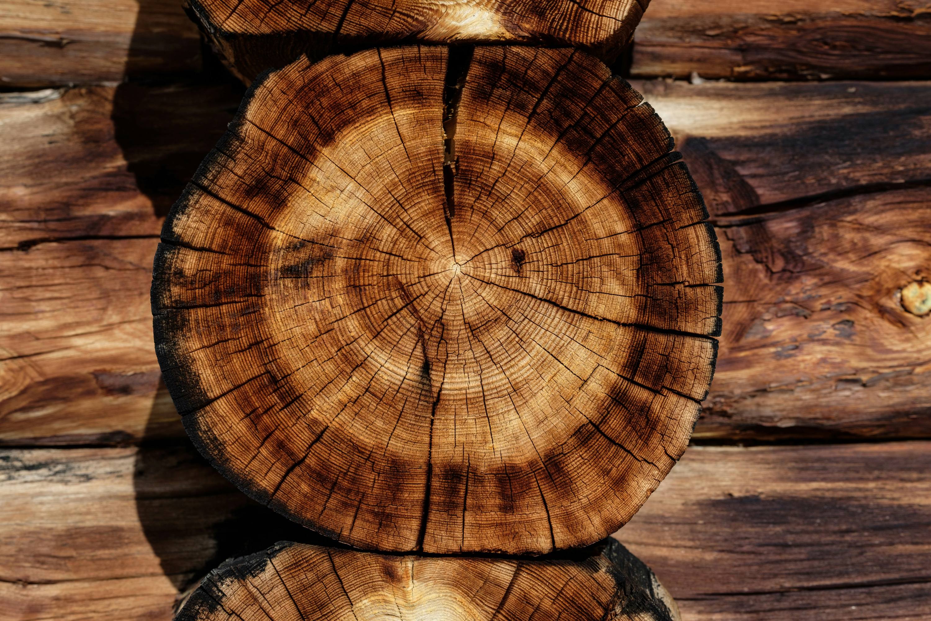 wood veneer-29.jpg